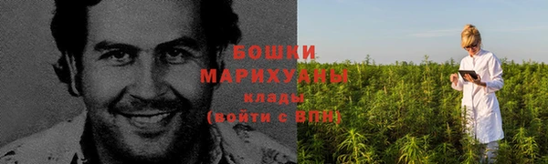 гашик Нягань