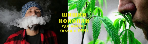гашик Нягань