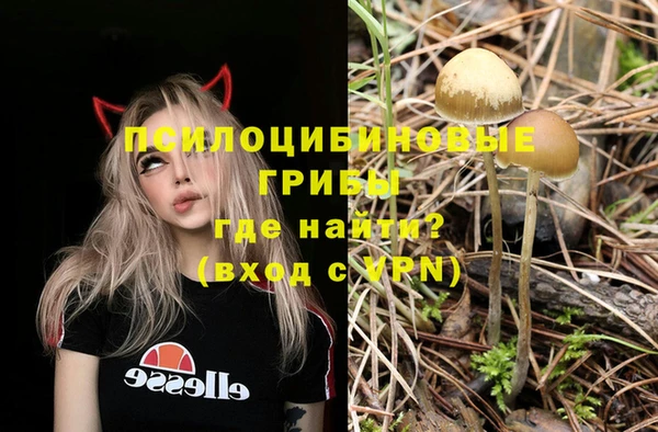 герыч Няндома
