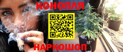 сатива Апшеронск