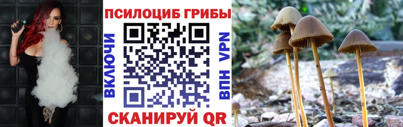 магазин продажи наркотиков  Балашиха  Псилоцибиновые грибы Psilocybine cubensis 