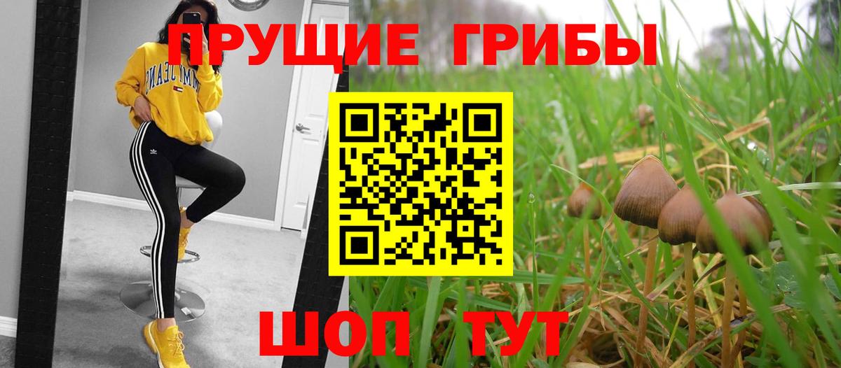 Балашиха  Галлюциногенные грибы прущие грибы  Вход с VPN 